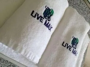 Hotel Livemax Budget Higashi Ueno Tokyo 2*,  Japan