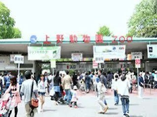 Hotel Livemax Budget Higashi Ueno Tokyo 2*,  Japan